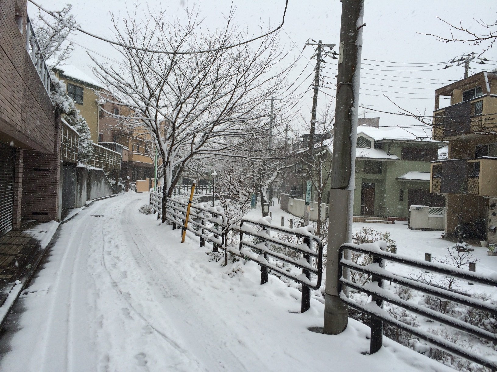 大雪の日　2014.2.8